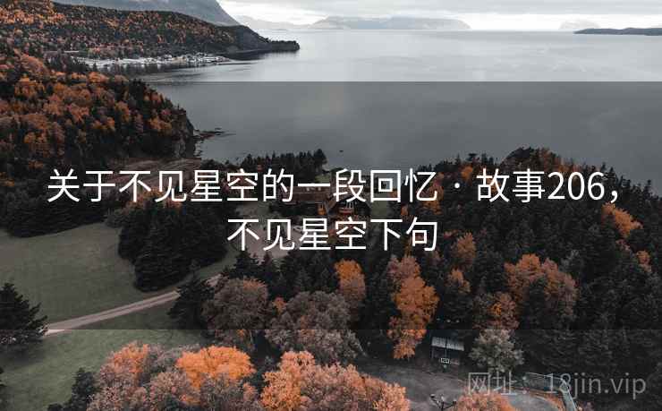 关于不见星空的一段回忆 · 故事206，不见星空下句