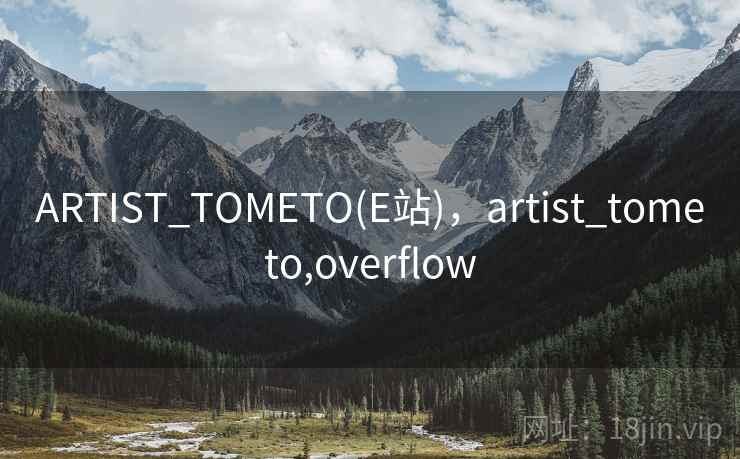 ARTIST_TOMETO(E站)，artist_tometo,overflow